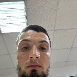 , 29, 