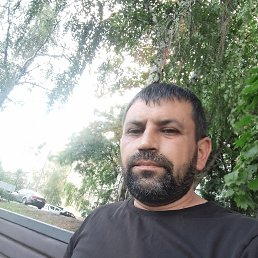 , 44, 