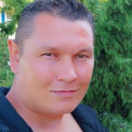 ��������, ������, 40 ���