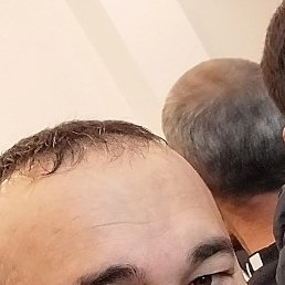 ����, ������, 39 ���