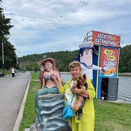 �����, ������, 62 ����