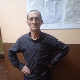 , 41 , 