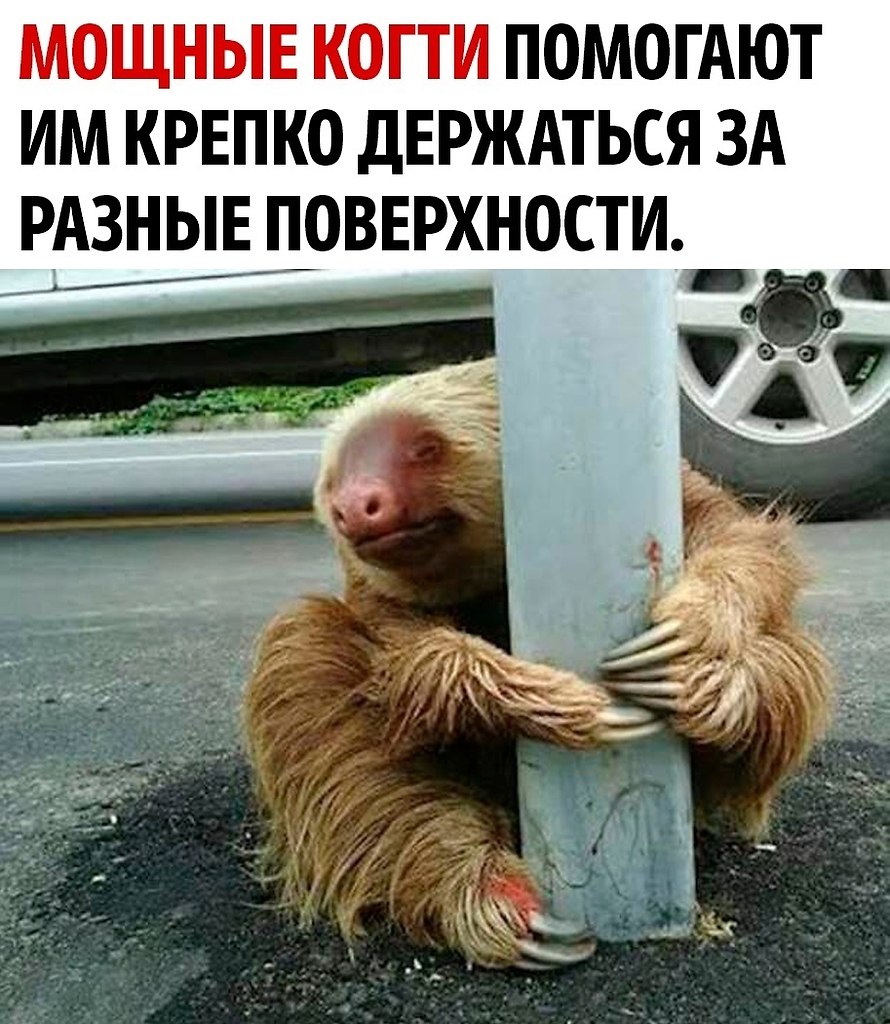       - 2