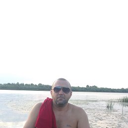 , 41, 