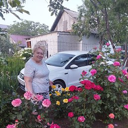 ����, ��������, 66 ���