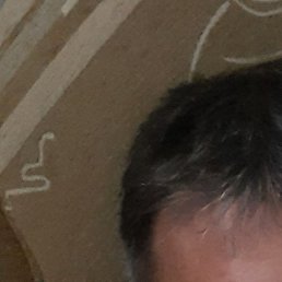 , -, 51 