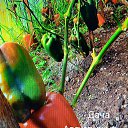 ���� ����, �����-���������, 69 ��� - ��������� 30 ������� 2024 � ������ ���� ����������