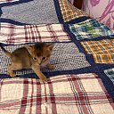 ���� �������, ��������� - ��������� 9 ��� 2025 � ������ ������ ��������