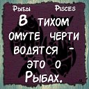 ���� ������, �����-��������� - ��������� 8 ������� 2026 � ������ ������ ��������