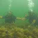 ���� ������, ��������, 56 ��� - ��������� 27 ������� 2023