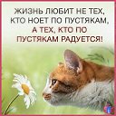 ������� �� ������� ����������� ���������