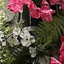 �������, ����, 61 ���