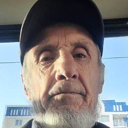 �����, �������, 66 ���