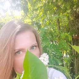 ���, �����-���������, 43 ����