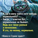  , , 48  -  5  2024    