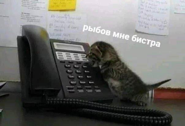    - 25  2024  23:19