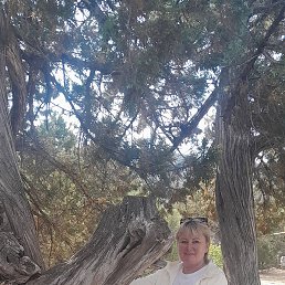 , 55, 