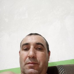 , 41, 