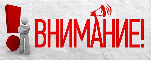 ���� �����, ������, 55 ��� - ��������� 23 ������� 2023