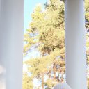 ���� �����, ������, 60 ��� - ��������� 3 ����� 2026