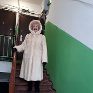 �����, , �������