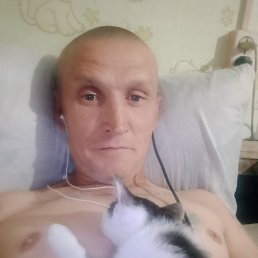 , 41, 