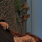 , 20 , 