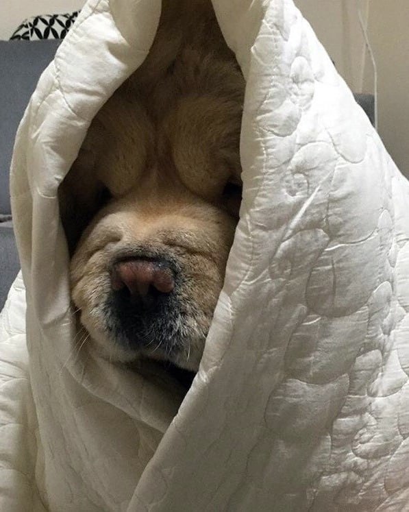 ����� ���� ����� �������, ��� ����� ����������