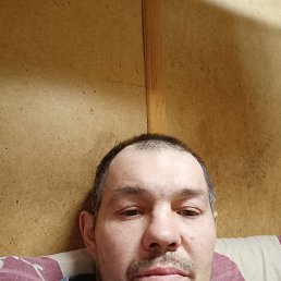 , 41, 