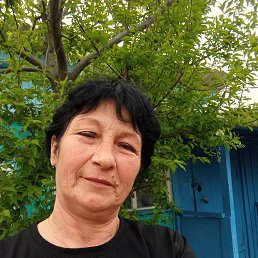 , 54, 