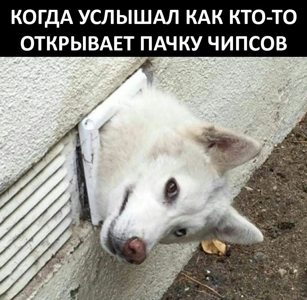    - 27  2023  18:31