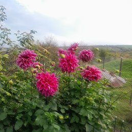 ���� �������, ������, 40 ��� - ��������� 2 ������ 2023