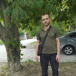 , 44, 