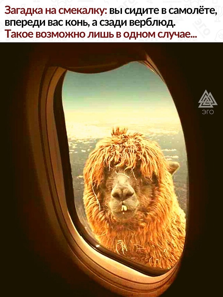  ,     .   .