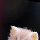 ���� Mohi, �����, 23 ���� - ��������� 21 ������ 2023