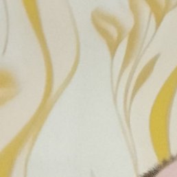 ����, �������, 43 ����