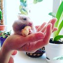 ���� ������, ���������, 43 ���� - ��������� 22 ������� 2025 � ������ ������ ��������