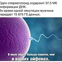 ���� �����, �������, 51 ��� - ��������� 26 ������� 2025 � ������ ������ ��������