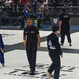 �����, ������, 35 ���