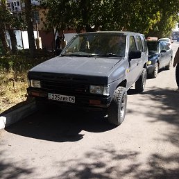 ���� ����, �����, 44 ���� - ��������� 2 �������� 2026