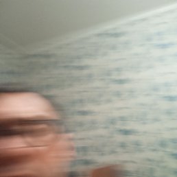 ���� ���, ������, 41 ��� - ��������� 11 ������� 2024