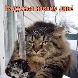 ������, ������, 63 ����