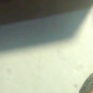 , 50 , 