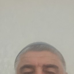 , 54, 