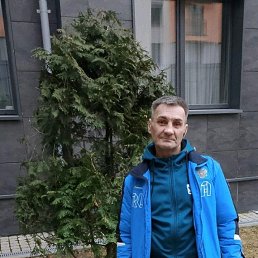 , 53 , -