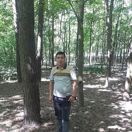 ����, �����, 33 ����