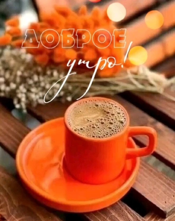   ,    . - 2  2025  23:19