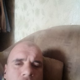 , 40, 