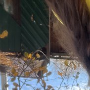 �����, 26 ���, ������