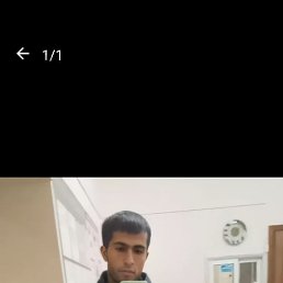 , 29, 